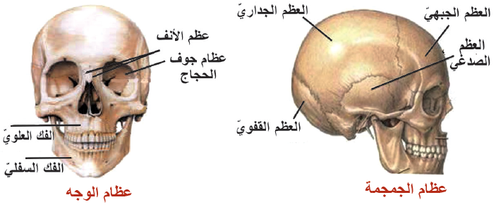 ا