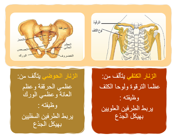 ةة